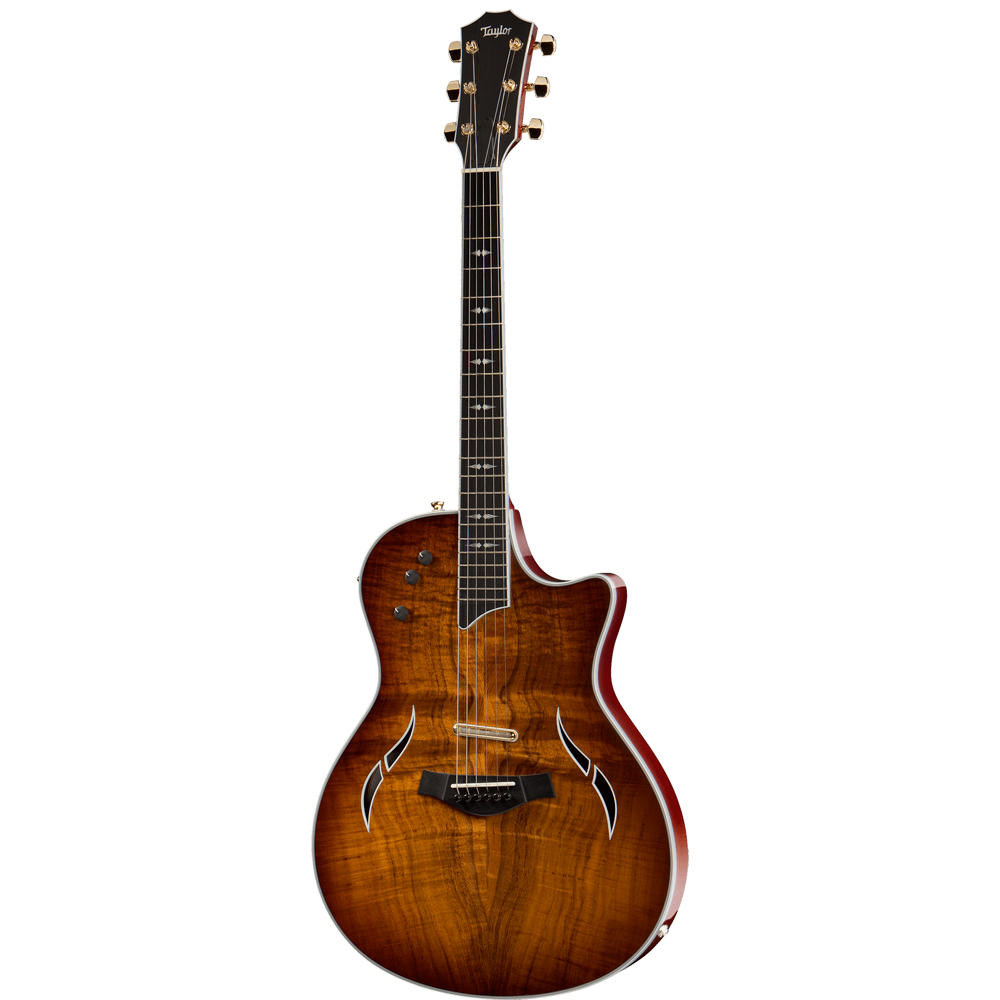 T5-Custom